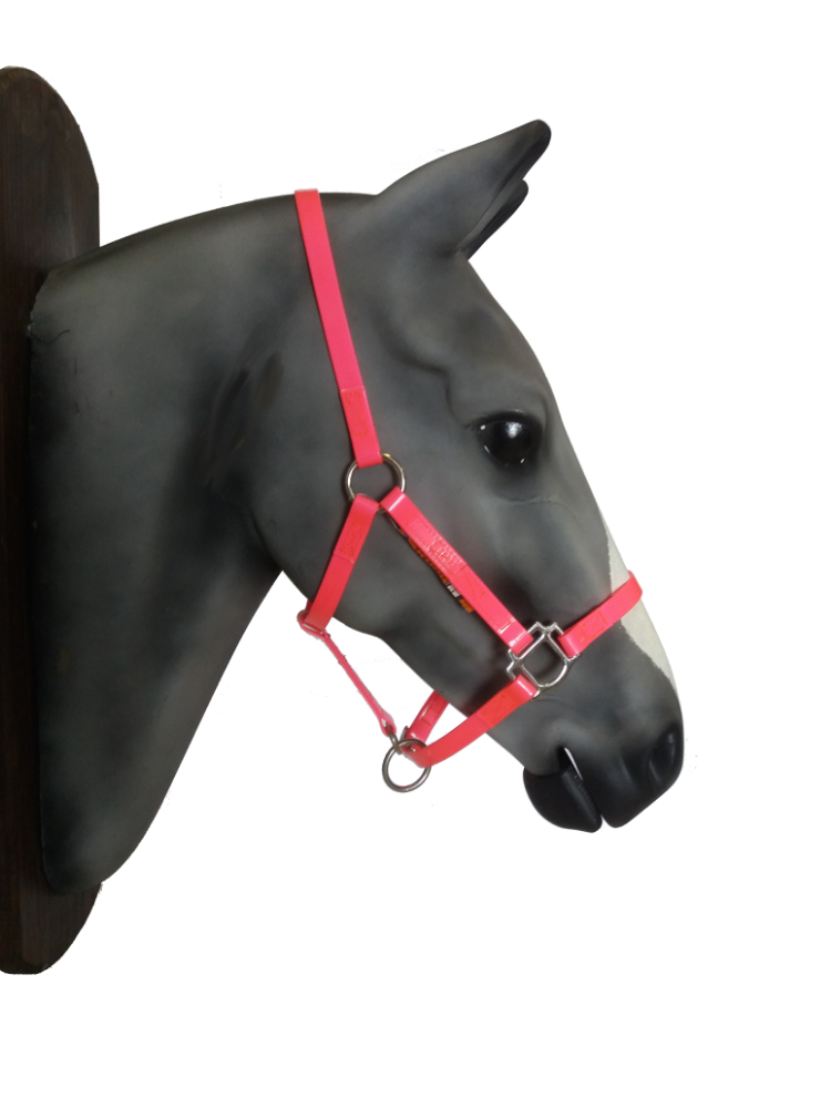 Biothane horse halter