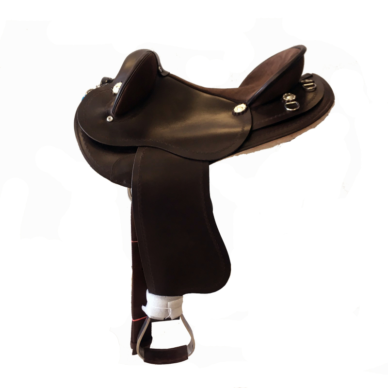 Saddle Cross Breed